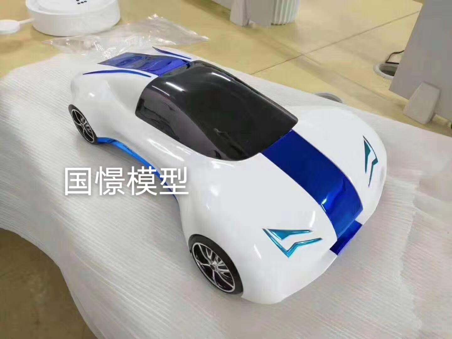 环县车辆模型