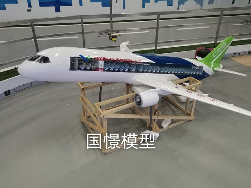 环县飞机模型